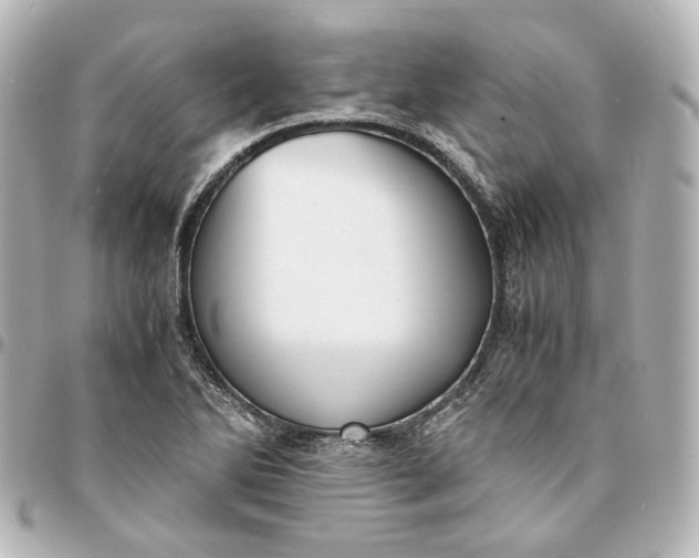 X0000095521270200712281452