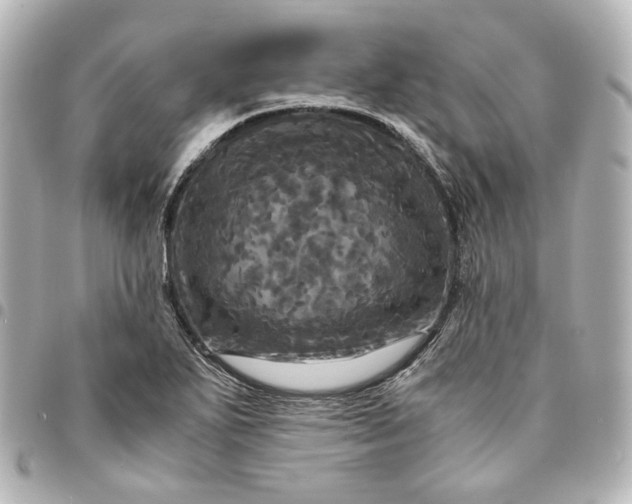 X0000095521271200712281452