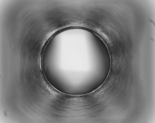 X0000095521272200712281452