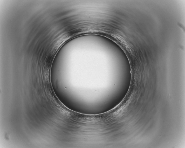 X0000095521273200712281452