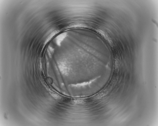 X0000095521274200712281452