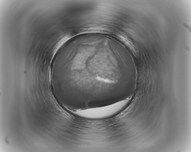 X0000095521275200712281452