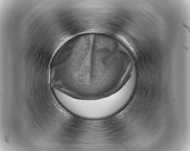 X0000095521276200712281452