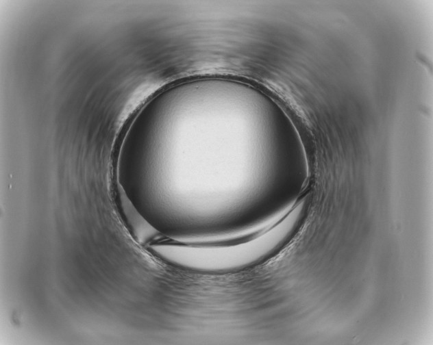 X0000095521277200712281452