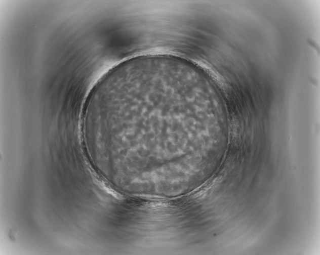 X0000095521278200712281452