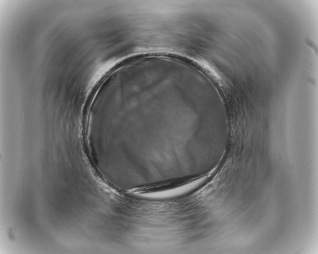 X0000095521279200712281452