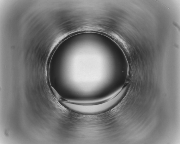 X0000095521280200712281452