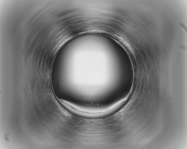 X0000095521281200712281452