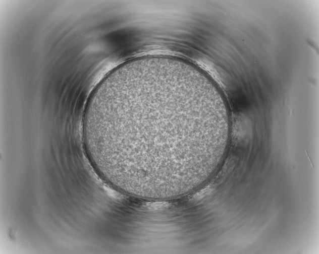 X0000095521282200712281452