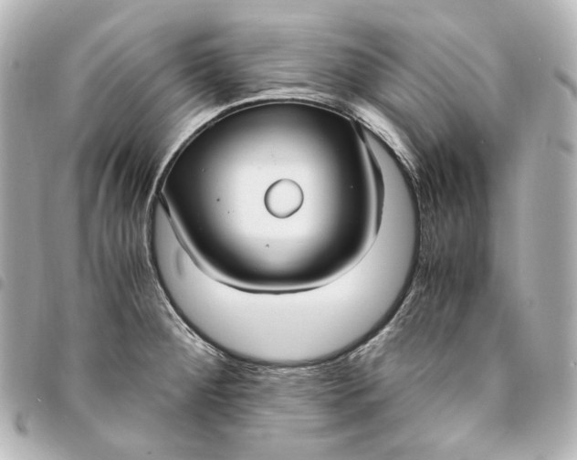 X0000095521284200712281452