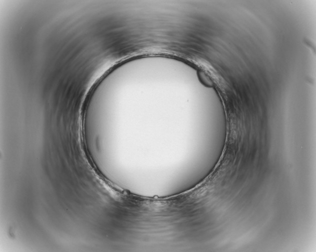 X0000095521286200712281452