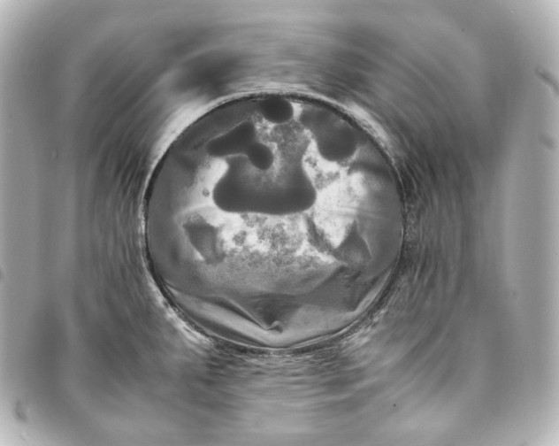 X0000095521287200712281452