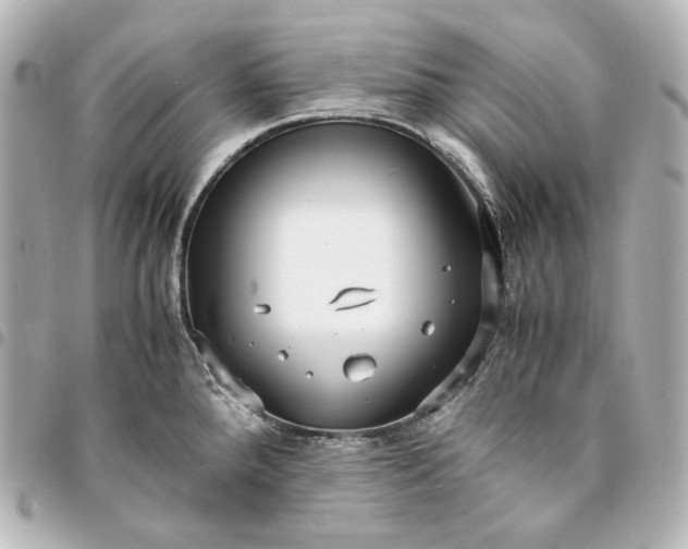 X0000095521288200712281452