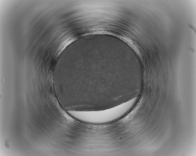 X0000095521289200712281452