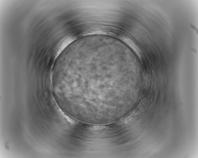 X0000095521290200712281452