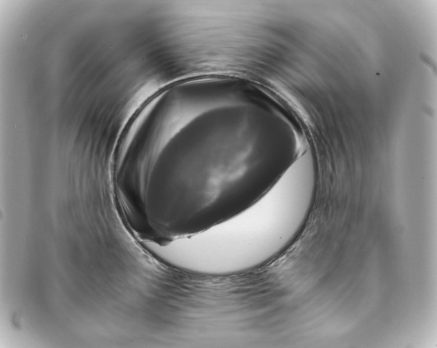 X0000095521291200712281452