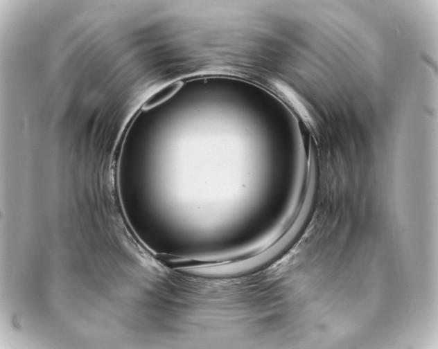 X0000095521292200712281452