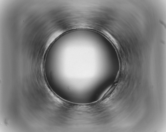 X0000095521293200712281452