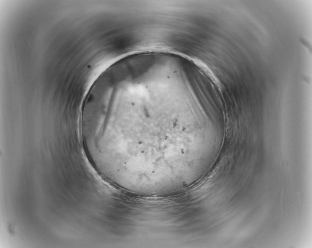 X0000095521295200712281452