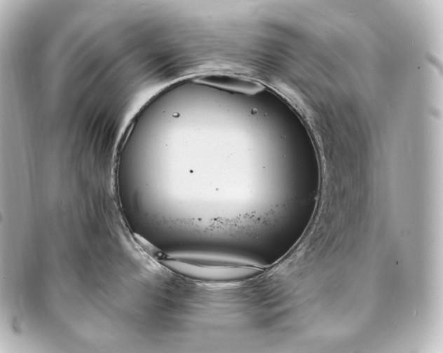 X0000095521296200712281452