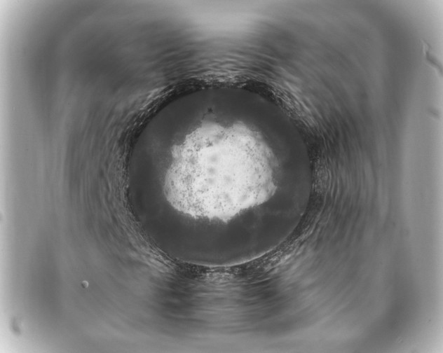 X0000095521297200712281451