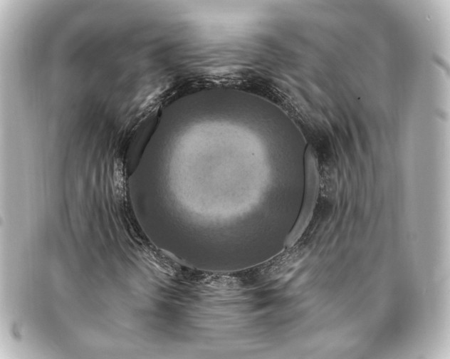 X0000095521298200712281451