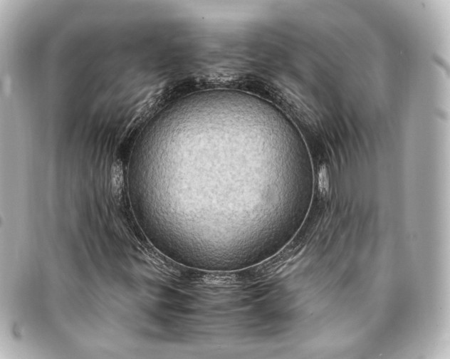 X0000095521299200712281451