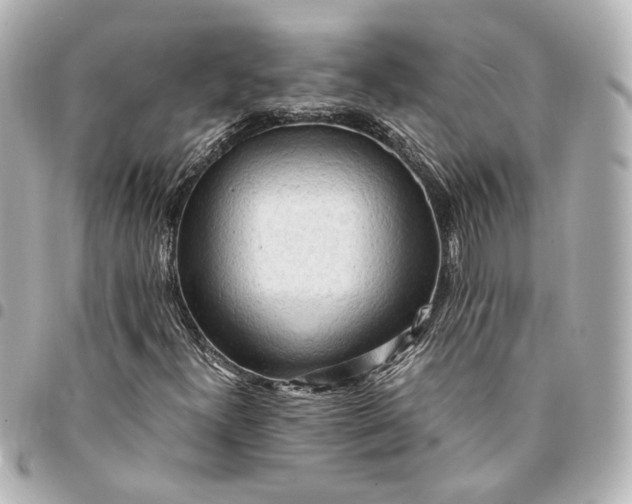 X0000095521300200712281451