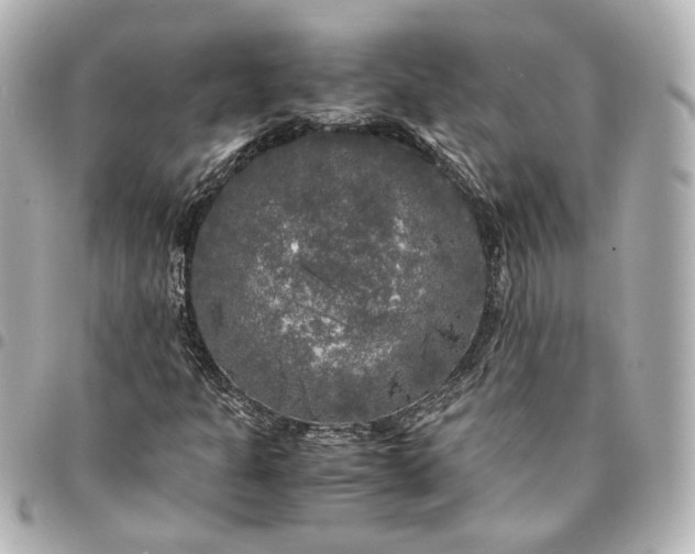 X0000095521301200712281451