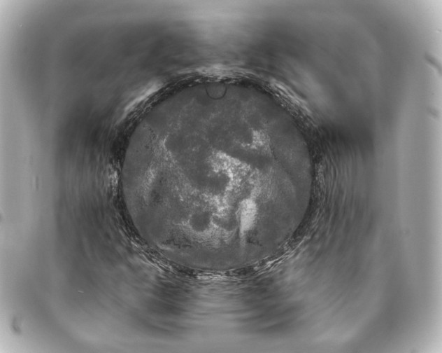 X0000095521302200712281451