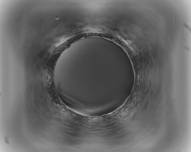 X0000095521303200712281451