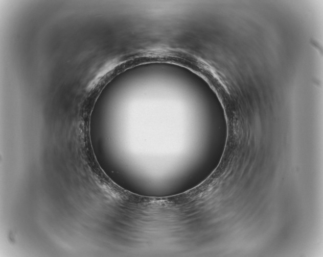 X0000095521304200712281451