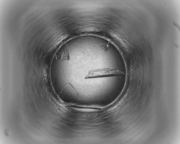 X0000095521305200712281451