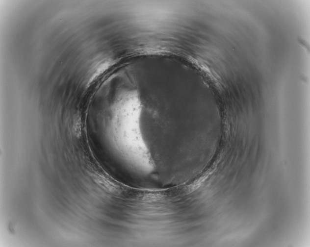 X0000095521306200712281451