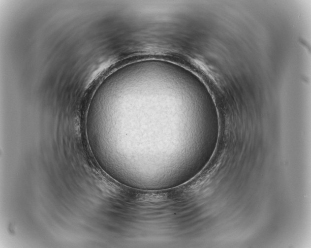 X0000095521307200712281451