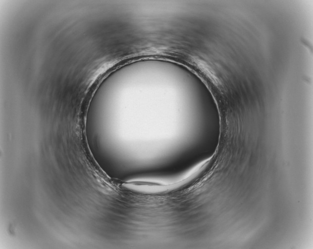 X0000095521308200712281451