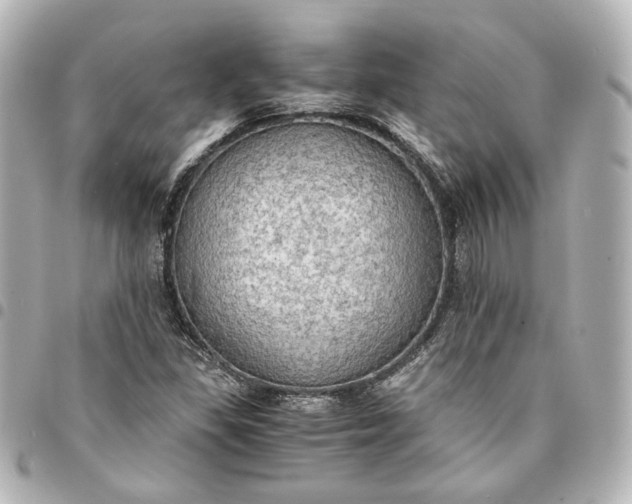 X0000095521309200712281451