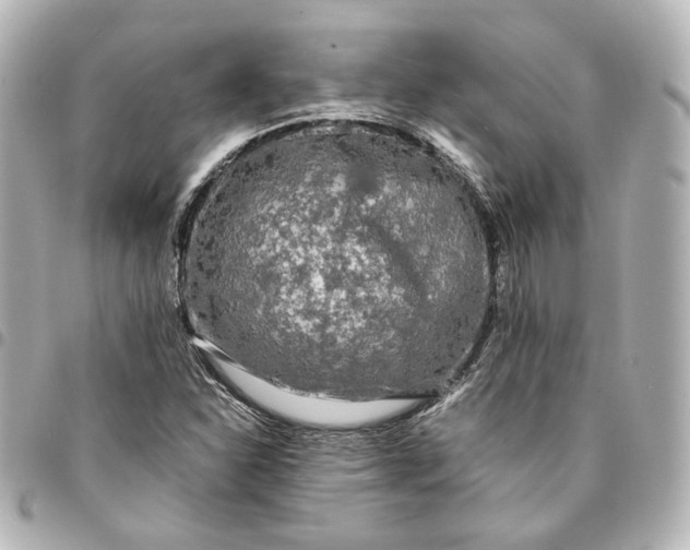 X0000095521310200712281451