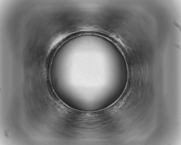 X0000095521311200712281451