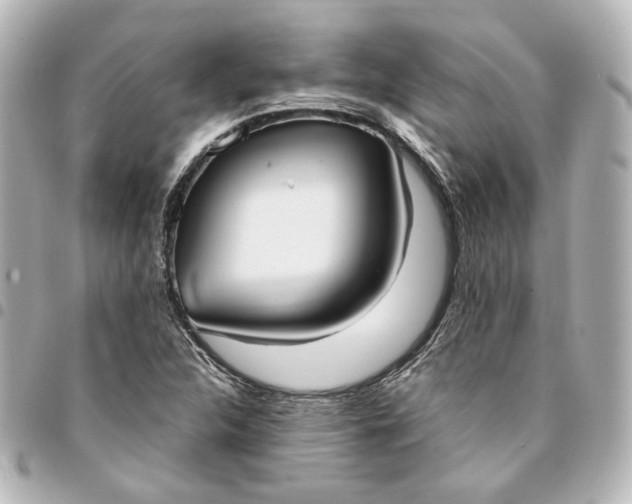 X0000095521312200712281451