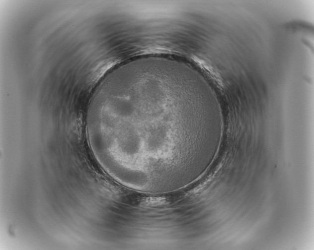 X0000095521313200712281451