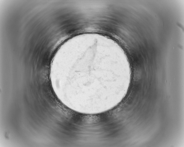 X0000095521314200712281451