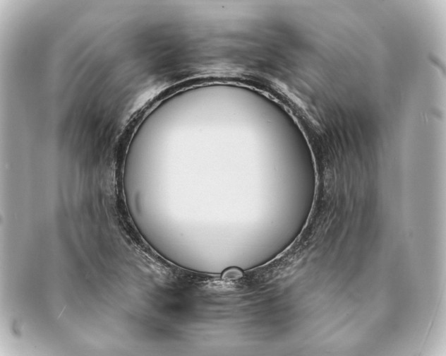 X0000095521315200712281451