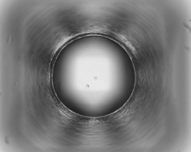 X0000095521316200712281451