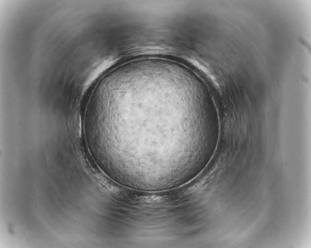 X0000095521317200712281451