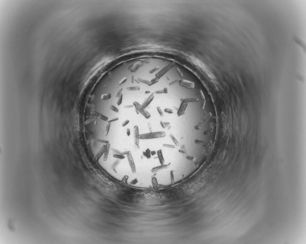 X0000095521318200712281451