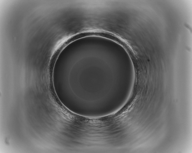 X0000095521319200712281451