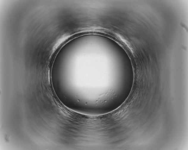 X0000095521320200712281451