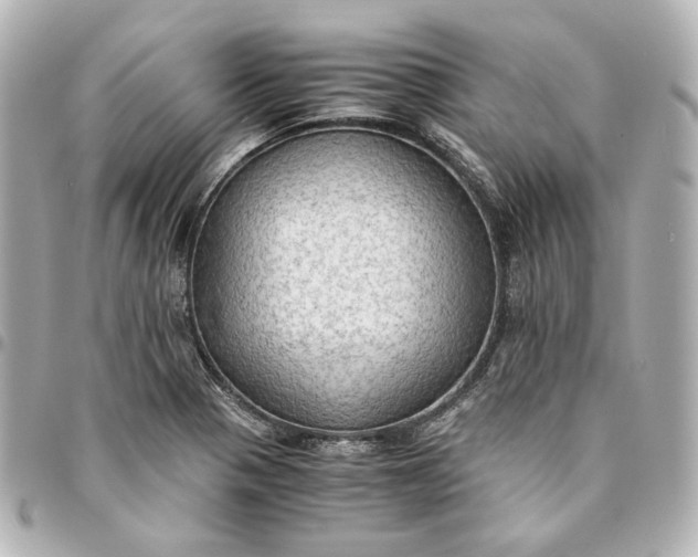 X0000095521321200712281451