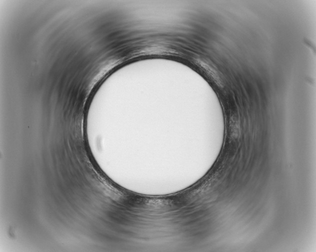 X0000095521322200712281451